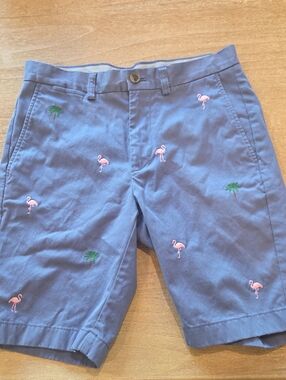 Brooks Brothers Men's 1818 Navy Chino Shorts w/ Pink Flamingo & Green Palm (30W)